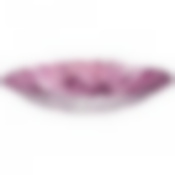 Блюдо Salvador rose 40см