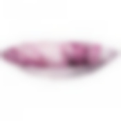 Блюдо Salvador rose 30см