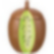 Емкость для сыпучих продуктов Киви 12.5*12.5 см. высота=18.0 см. 900 мл 