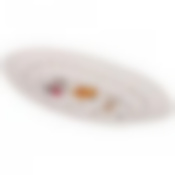 Блюдо овальное Веселые друзья 25,5*14,5см 