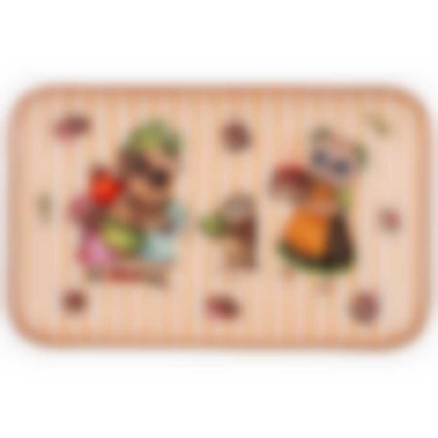 Блюдо прямоугольное Совушки 20,5*13см 