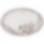 Блюдо овальное lefard White flower 36*24 см серое 