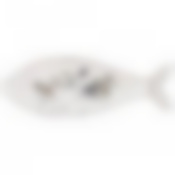 Блюдо сервировочное Котики 38 см