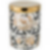 Банка для сыпучих Golden rose 700мл, геометрия 