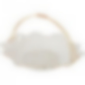 Блюдо Фабьен с металл.ручкой диаметр=26см 