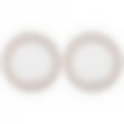 Набор обеденных тарелок Букингем 2пр 25,5см 