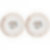 Набор закусочных тарелок Лаурель 2пр. 20,5см 