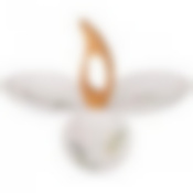 Менажница bronco Meadow трехсекционная с ручкой 27*24*2,5 см 