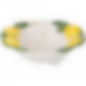 Салатник Лимоны диаметр 16см