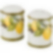 Набор для специй Лемон три 2пр. 4,5*4,5 см. высота=6,5 см. 