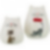 Набор для специй 2 пр.коллекция Озорные коты 6*6*7/5*5*6 см 