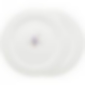 Набор тарелок обеденных lefard Прованс ажур 2 шт. 26 см 