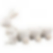 Подставка под яйца 20.5*5*11.5 см. 