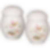 Набор для специй Шиповник 2 пр. 7*5*5 см 