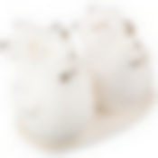 Набор для специй 9.5*6*8.5 см. 