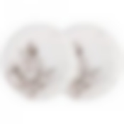 Набор из 2 тарелок закусочных lefard White flower 20,5 см 