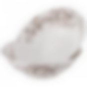 Набор из 2 салатников lefard White flower 16 см 