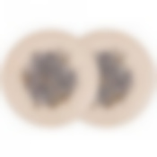 Набор из 2 тарелок закусочных lefard Royal garden 20,5 см 