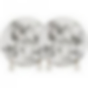 Набор тарелок Райские яблочки из 2-х штук, диаметр 25 см. 