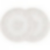 Набор из 2х тарелок обеденных Emily 23,5см 