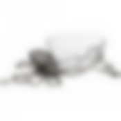 Конфетница Осьминог 56*44*16 см. серия Dal mare 