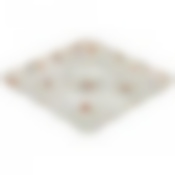 Менажница Пасадена 24*24*2,5 см. 