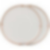 Набор тарелок закусочных Style 2 пр. 20,5см 