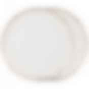 Набор тарелок обеденных Style 2 пр. 25,5см 