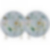 Набор тарелок Блоссом из 2-х штук, диаметр 25 см. 