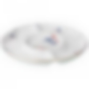 Менажница Гуси 31*31*3 см. 