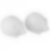 Набор для специй Ёжики , 2 пр. 8*5 см. высота=5 см. 