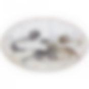 Тортовница вращающаяся Котики диаметр=32 см высота=3 см 