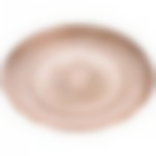 Тарелка Miracle shampain 21см без упаковки