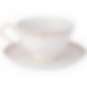 Чайный набор Style на 1пер. 2пр. 220мл 