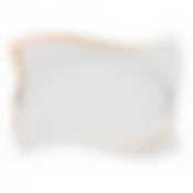 Тарелка Charm квадратная 31/21/3,5см 