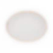 Тарелка Chic овальная 30,5см 