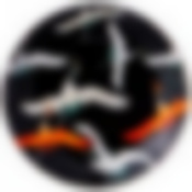 Тарелка закусочная Motion 20,5 см черная 