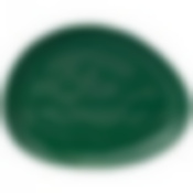 Тарелка закусочная bronco Meadow 25*19 см зеленая