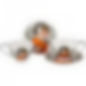 Чайный набор на 2 персоны Топаз (а. муха) 4 пр. 250 мл 