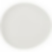 Тарелка обеденная Fusion 27*25см 