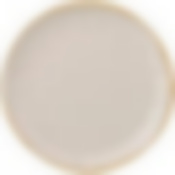 Тарелка обеденная Concerto диаметр=26 см кремовый 