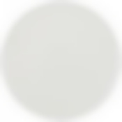 Тарелка обеденная Silk 25,5см 