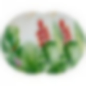 Тарелка обеденная lefard 27 см 