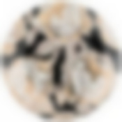 Тарелка десертная Golden rose 20,5см, черная 