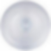 Тарелка Beauty blue-grey 28см без упаковки 