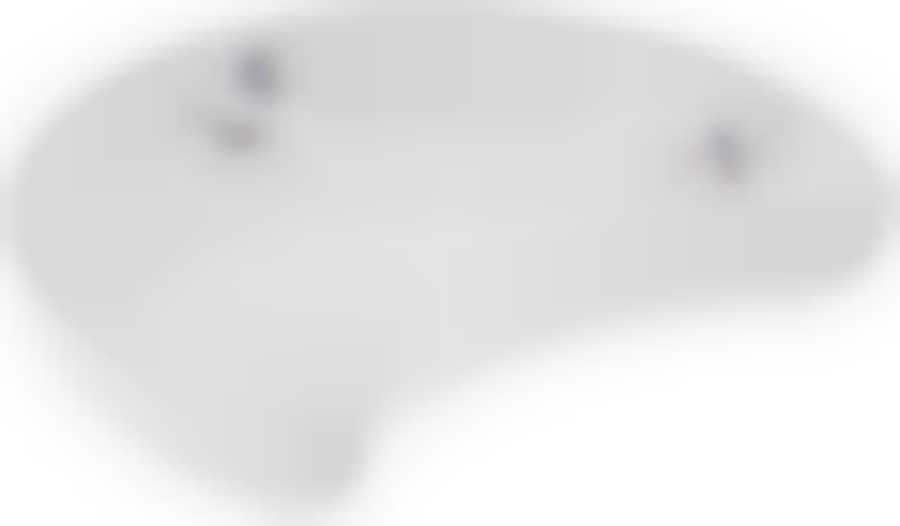 Менажница "Почка"; декор "Гуси"; жаропр. фарфор