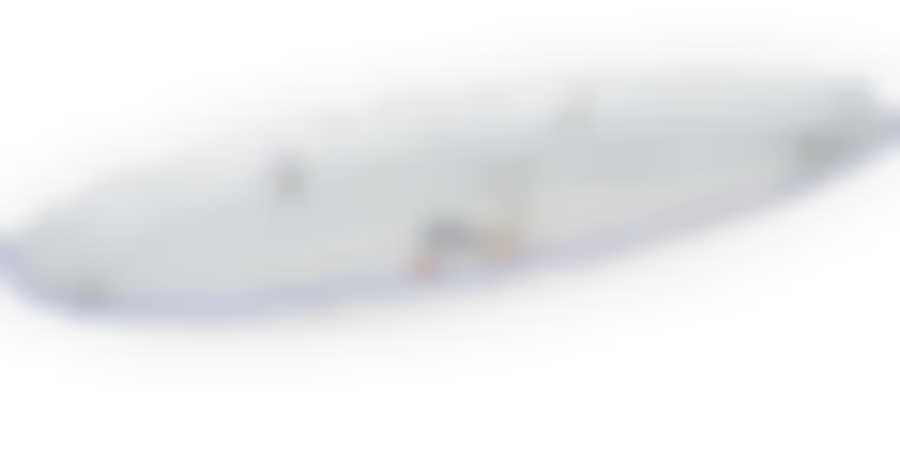 Блюдо для рыбы 52 см; "Bernadotte", декор "Гуси"