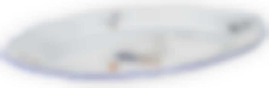 Блюдо овальное 34 см; "Bernadotte", декор "Гуси"