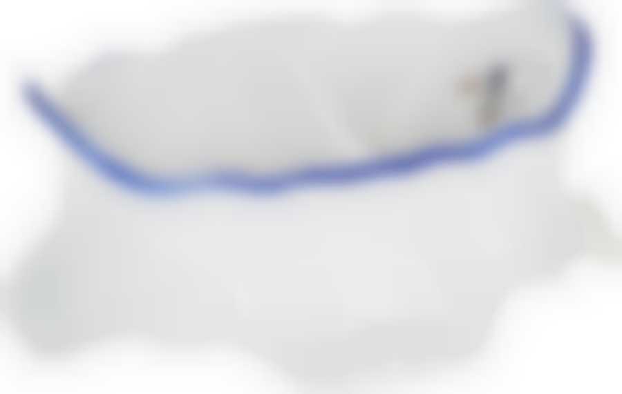 Солонка двойная; "Bernadotte", декор "Гуси"