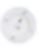 Тарелка глубокая 23 см; "Bernadotte", декор "Гуси"